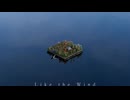 Like the Wind / 鳴花ヒメ