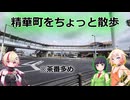 精華町をのんびり散歩しただけ(ソフトウェアトーク旅行)