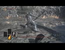 灰グンダ盾のみ