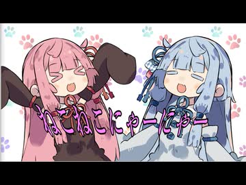 ねこにゃー