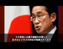 【 USAID 】　岸田前総理、児童売買疑惑の人物を起用！　養子縁組を隠れ蓑にした実態と消えた300人の子供たちの行方。【 日本のエプスタイン 】