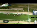 2025 Neom Turf Cup Shin Emperor