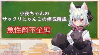 【第一回猫耳投稿祭】小夜ちゃんのサックリにゃんこの病気解説 ~急性腎不全編~