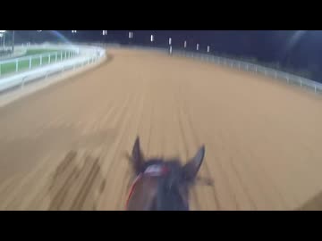 2025年2月22日 第6回サウジカップ(G1) フォーエバーヤング　坂井瑠星騎手　ジョッキーカメラ