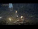 【初見】エルデンリングに挑んでみた【第37話】