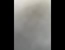 76197287959__4DE28C2C-929F-4C30-8334-90DF3C840CBD