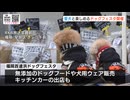 犬と飼い主が一緒に楽しめる「ドッグフェスタ」愛犬のファッションコンテストや「待て」の長さ競う催しも