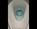76198343911__D58B72B9-57D9-4F88-B495-E162C33CD29F