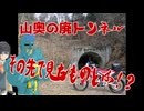陰キャリターンライダー備忘録【向春特番！廃トンネルで出会うモノ！？林道・川乗線】旅の相方/フリモメン