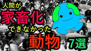【解説動画】人間が家畜化できなかった動物 ７選