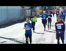 2025・東金九十九里波乗りハーフマラソン（残り4ｋｍ付近左側から撮影）