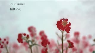 「枯憐ノ花」feat.星界