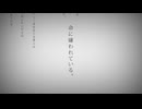 【16歳】命に嫌われている。/初音ミク【Covered by Mizuki】