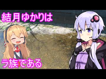 【都市型対水害要塞・石神井川】結月ゆかりはラ族である【ニコニコダム祭り】