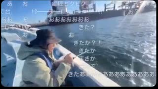 【贅肉ちゃん】釣りど素人が挑戦□ にっこ初めての釣果 アジ□げっと□【ニコ生】