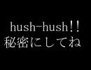 hush-hush!!（秘密にしてね）/  鈍痛P