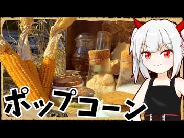 【異世界飯】「ポップコーン」これは爆裂の名にふさわしい実だな！