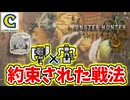 【約束された戦法】ハンター…スラッシュアックス＆ヘビィボウガンを引っ提げ、縛鎖のアルシュベルドのリベンジへむかう。【モンスターハンターワイルズ オープンベータテスト】