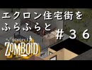 #３６【ビルド４２】エクロン住宅街をふらふらと【ProjectZomboid】