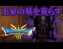 王家の墓荒らしだぁぁぁあああ！！！！（歓喜）｜#ドラゴンクエスト３リメイク　実況プレイ＃１２