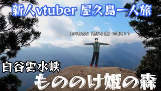 【屋久島】新人vtuberひとり旅。もののけ姫の舞台にもなった白谷雲水峡へ！【フェリーで行く】