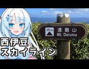 西伊豆スカイラインを走ったり登ったりする雪さん