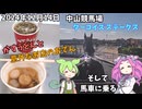 2024年12月14日 中山競馬場 ターコイズステークス うどん食べたり、馬車に乗ったりする
