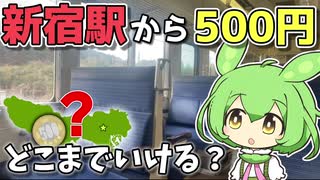 【前編】たった500円で行ける！？新宿からギリギリ辿り着ける”限界の地”を観光してみた【ずんだもん】