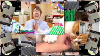 宮又