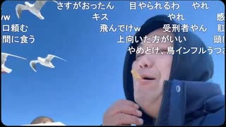 【おったん】落ちているえびせんを拾うおったん。カモメに投げると思いきや…【ニコ生】