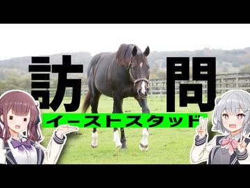 馬産地日高をバスで往く。二日目『訪問！イーストスタッド』