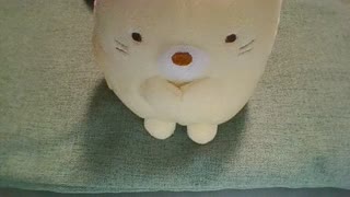 男か女どっちでしょうか?