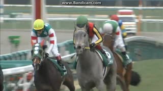 2011 チューリップ賞 (GIII)　レーヴディソール