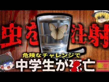 【2025年】『蝶を体内に注射し死亡』仲間に入るために危険なチャレンジ受けた中学生が死亡 虫をすり潰した汁を注射器で足に注入し…【ゆっくり解説】