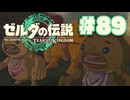 【ぽつぽつ実況 #89】ユン組【ティアーズオブザキングダム】