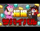 【マイクラ】億万長者を目指せ！採掘サバイバル！！【AMPTAKxCOLORS】【アンプタック】