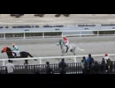 2025年2月24日_浦和競馬_10R_最強ウマドル☆ファル子記念_馬場入場