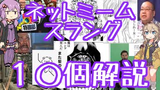 今さら人に聞けないネットのネタ解説その19【結月ゆかり×春日部つむぎ】