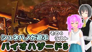 【バイオハザード5】シュネハノと遊ぶバイオ5 その6