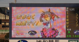 2025年2月24日_浦和競馬_10R_最強ウマドル☆ファル子記念
