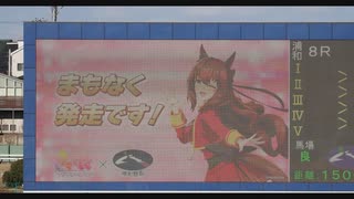 2025年2月24日_浦和競馬_8R_チョベリグ!マルゼン記念