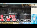 【実況】ELDEN RINGもっとやる！【254-DLC編】