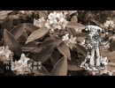 【排気音カララ】春よ、来い【UTAUカバー】