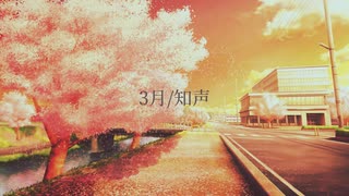 3月/知声