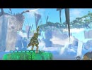 【ティアキン】依頼を受けて、回生の祠のバナナで遊びたかった【ドリカラ】【ボイスピ実況,ゼルダの伝説,ティアーズオブザキングダム,TotK,バグ,検証 】
