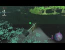 【ティアキン】地面が透明になるバグに遭遇し、恐ろしすぎる地底を歩いてみた【ドリカラ】【ボイスピ実況,ゼルダの伝説,ティアーズオブザキングダム,TotK,バグ,検証 】