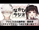 なぜVtuber・配信者はプロレスに学ぶべきなのか！？三部作、完結特別編！ #17 【なかびラジオ】