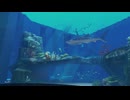 【VRChatワールド紹介】Sushi Aquarium 海洋棟