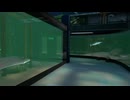 【VRChatワールド紹介】Sushi Aquarium 淡水棟