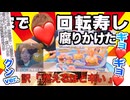 【怪作】進化と退化の狭間のシャリマシーン！お家で貯金箱でずーっと入れてて腐りかけたお金みたいな匂いの回転寿し！さかななど～クン bevander.